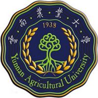 大学专业怎么选不后悔:兴趣、能力与就业的平衡方法 大学专业怎么选不后悔:兴趣、能力与就业的平衡方法